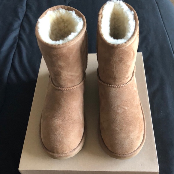 classic ugg boots chestnut